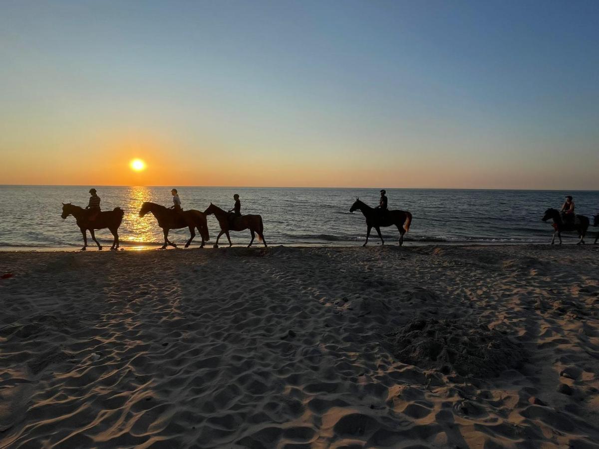Domki U Pana Zielonki Русіново Екстер'єр фото